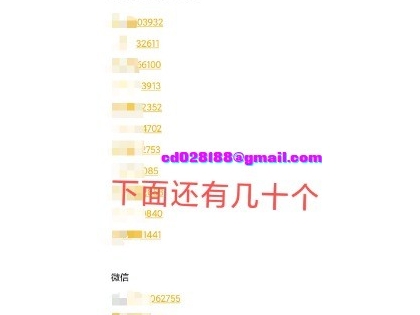 自贡，成都，珍藏资源